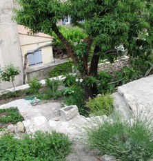 Garden view forcalquier